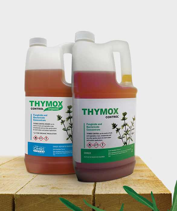 Bottle of Thymox biopesticide for organic pest control